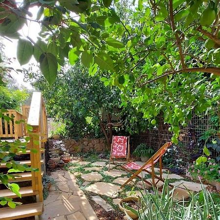 Maple'S Place - אירוח מייפל Rosh Pinna Exterior foto